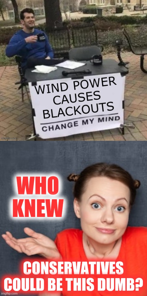 green energy scam! | WHO
KNEW; CONSERVATIVES COULD BE THIS DUMB? | image tagged in wondering woman,renewable energy,blackout,texas,conservative logic,change my mind | made w/ Imgflip meme maker