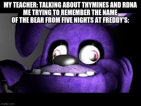 MY TEACHER: TALKING ABOUT THYMINES AND RDNA
ME TRYING TO REMEMBER THE NAME OF THE BEAR FROM FIVE NIGHTS AT FREDDY'S: | image tagged in fnaf,bonnie,never gonna give you up,never gonna let you down | made w/ Imgflip meme maker