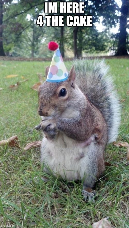 Super Birthday Squirrel Meme | IM HERE 4 THE CAKE | image tagged in memes,super birthday squirrel | made w/ Imgflip meme maker