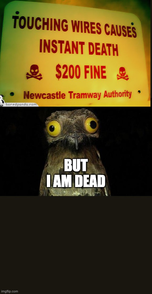 Bruh | BUT I AM DEAD | image tagged in memes,weird stuff i do potoo | made w/ Imgflip meme maker