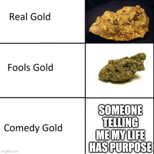 Comedy Gold | SOMEONE TELLING ME MY LIFE HAS PURPOSE | image tagged in comedy gold | made w/ Imgflip meme maker