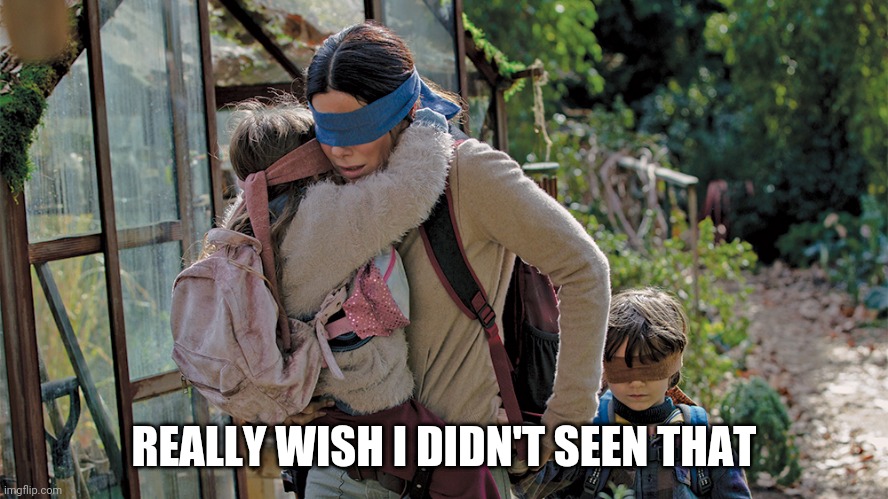 Watching the trailer for the new Village Resident Evil game | REALLY WISH I DIDN'T SEEN THAT | image tagged in bird box,resident evil,village,capcom | made w/ Imgflip meme maker