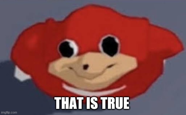 ugandan knucleeee | THAT IS TRUE | image tagged in ugandan knucleeee | made w/ Imgflip meme maker