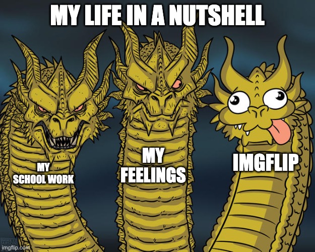 Three-headed Dragon | MY LIFE IN A NUTSHELL; MY FEELINGS; IMGFLIP; MY SCHOOL WORK | image tagged in three-headed dragon | made w/ Imgflip meme maker