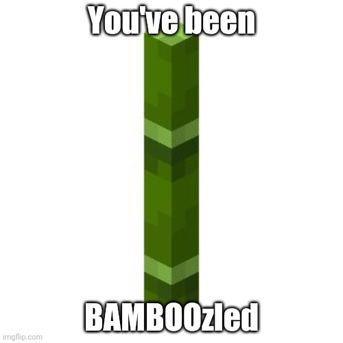 You've been BAMBOOzled | made w/ Imgflip meme maker