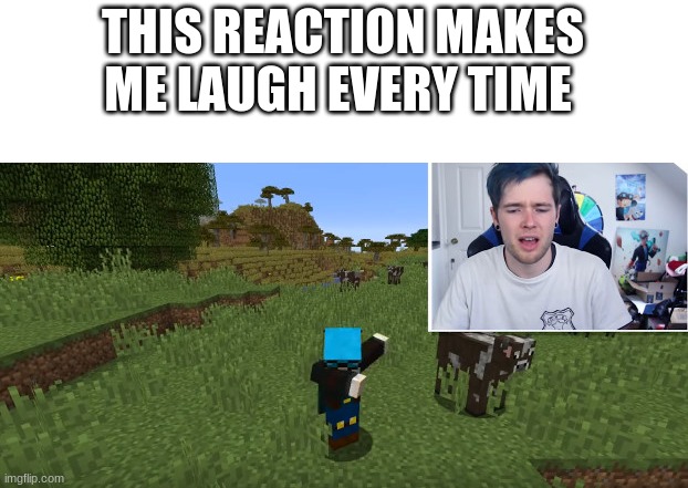 dantdm DAB! | THIS REACTION MAKES ME LAUGH EVERY TIME | image tagged in dantdm dab | made w/ Imgflip meme maker