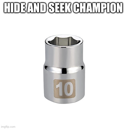 HIDE AND SEEK CHAMPION | image tagged in 10mm | made w/ Imgflip meme maker
