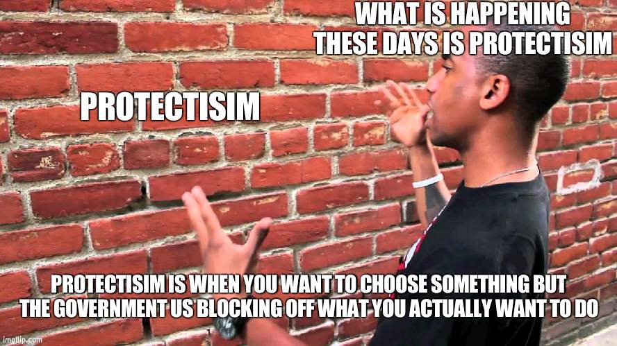 Protectisim | WHAT IS HAPPENING THESE DAYS IS PROTECTISIM; PROTECTISIM; PROTECTISIM IS WHEN YOU WANT TO CHOOSE SOMETHING BUT THE GOVERNMENT US BLOCKING OFF WHAT YOU ACTUALLY WANT TO DO | image tagged in talking to wall,protect,government | made w/ Imgflip meme maker
