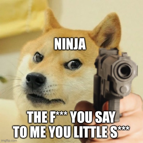 Oh s*** | NINJA; THE F*** YOU SAY TO ME YOU LITTLE S*** | image tagged in doge holding a gun | made w/ Imgflip meme maker