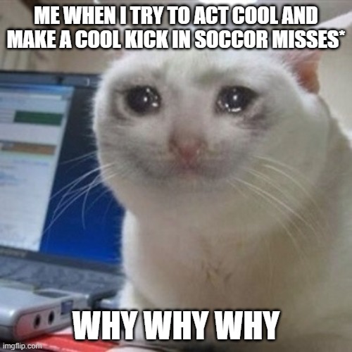 Crying cat | ME WHEN I TRY TO ACT COOL AND MAKE A COOL KICK IN SOCCOR MISSES*; WHY WHY WHY | image tagged in crying cat | made w/ Imgflip meme maker