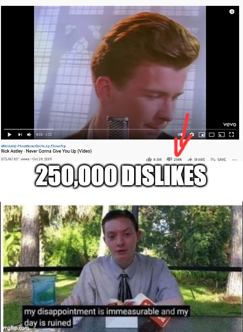 250,000 DISLIKES | image tagged in my dissapointment is immeasurable and my day is ruined | made w/ Imgflip meme maker