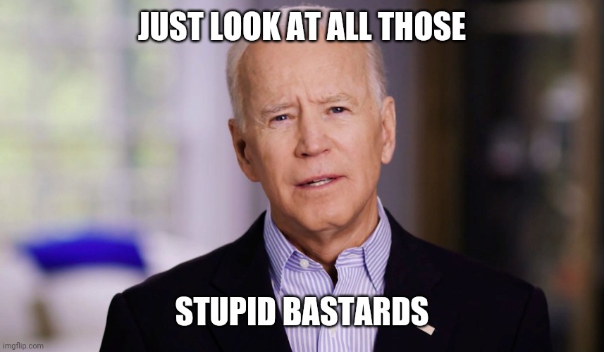 Joe Biden 2020 | JUST LOOK AT ALL THOSE STUPID BASTARDS | image tagged in joe biden 2020 | made w/ Imgflip meme maker