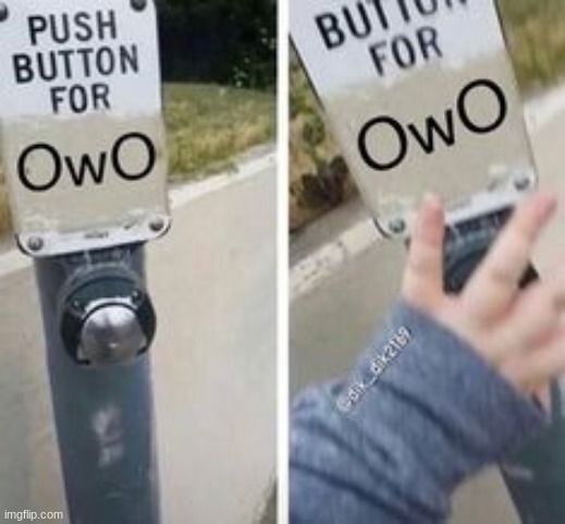 image tagged in furry,memes,owo | made w/ Imgflip meme maker