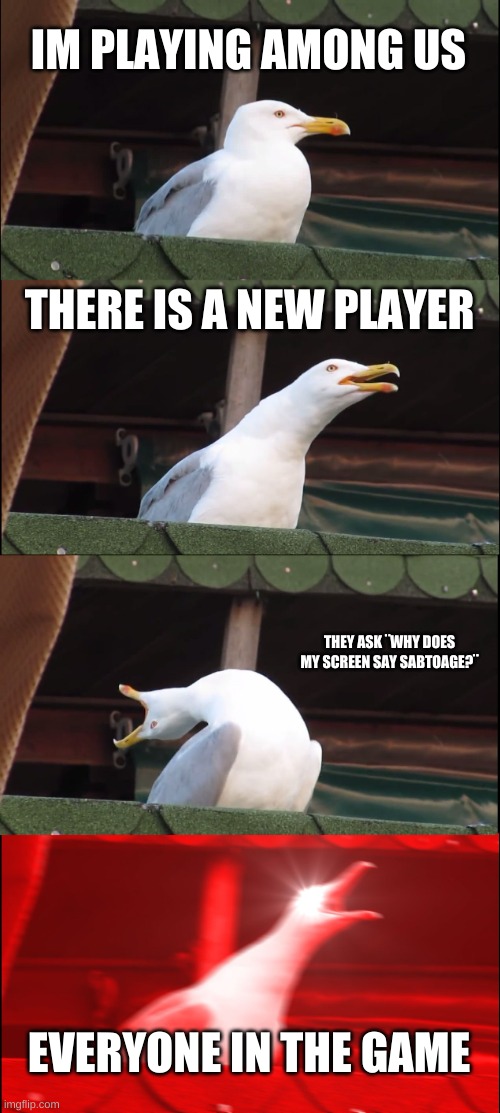 Seagull meme | IM PLAYING AMONG US; THERE IS A NEW PLAYER; THEY ASK ¨WHY DOES MY SCREEN SAY SABTOAGE?¨; EVERYONE IN THE GAME | image tagged in memes,inhaling seagull | made w/ Imgflip meme maker