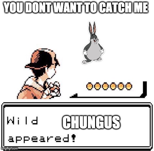 Chungus | YOU DONT WANT TO CATCH ME; CHUNGUS | image tagged in blank wild pokemon appears | made w/ Imgflip meme maker