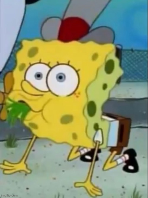 spongebob finds a new delicacy, i think | image tagged in memes,funny,wtf,spongebob,cursed image | made w/ Imgflip meme maker
