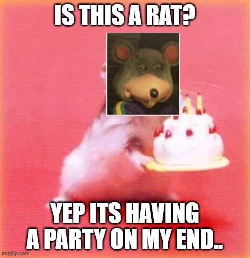 birthday hamster | IS THIS A RAT? YEP ITS HAVING A PARTY ON MY END.. | image tagged in birthday hamster | made w/ Imgflip meme maker