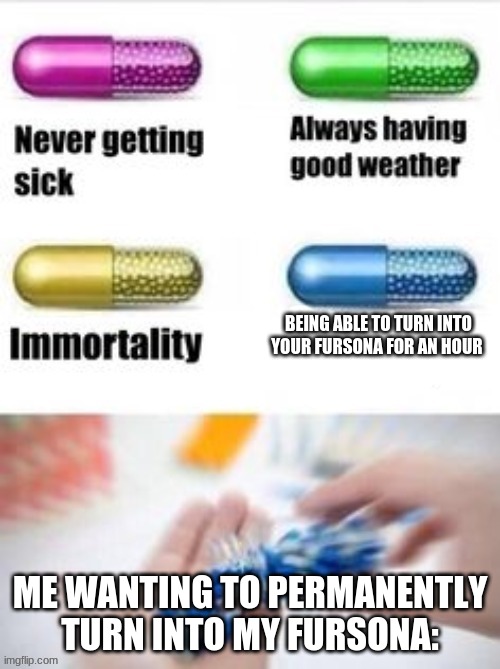 new meme template named the blue pill | BEING ABLE TO TURN INTO YOUR FURSONA FOR AN HOUR; ME WANTING TO PERMANENTLY TURN INTO MY FURSONA: | image tagged in the blue pil,memes,furry | made w/ Imgflip meme maker