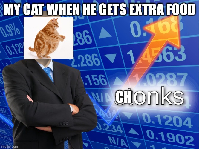 He is very fat | MY CAT WHEN HE GETS EXTRA FOOD; CH | image tagged in stonks | made w/ Imgflip meme maker