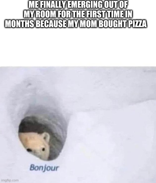 P I  Z  Z A | ME FINALLY EMERGING OUT OF MY ROOM FOR THE FIRST TIME IN MONTHS BECAUSE MY MOM BOUGHT PIZZA | image tagged in bonjour | made w/ Imgflip meme maker