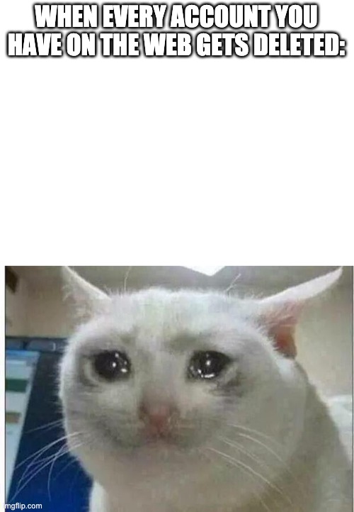 that just happened to me | WHEN EVERY ACCOUNT YOU HAVE ON THE WEB GETS DELETED: | image tagged in blank white template,crying cat | made w/ Imgflip meme maker