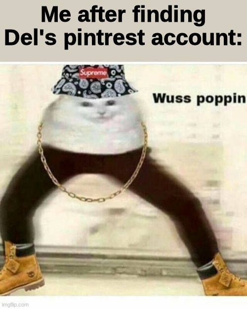wuss poppin | Me after finding Del's pintrest account: | image tagged in wuss poppin | made w/ Imgflip meme maker