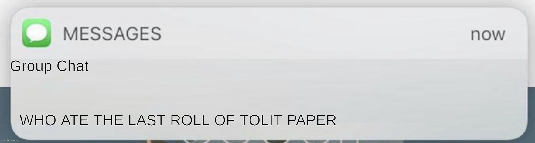 Messages | Group Chat; WHO ATE THE LAST ROLL OF TOLIT PAPER | image tagged in messages | made w/ Imgflip meme maker
