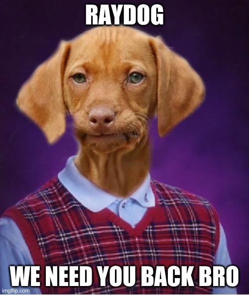Bad Luck Raydog | RAYDOG; WE NEED YOU BACK BRO | image tagged in bad luck raydog | made w/ Imgflip meme maker