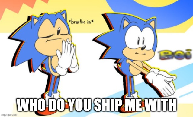 yeah of course nobody comments, im not even WORTH being shipped .____. | WHO DO YOU SHIP ME WITH | image tagged in sonic boi | made w/ Imgflip meme maker