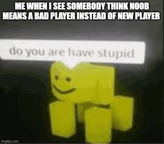 do you are have stupid | ME WHEN I SEE SOMEBODY THINK NOOB MEANS A BAD PLAYER INSTEAD OF NEW PLAYER | image tagged in do you are have stupid | made w/ Imgflip meme maker