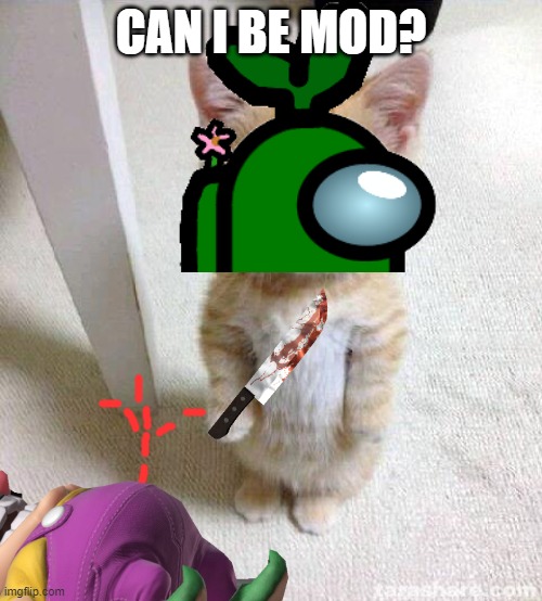 I make Wario Dies memes when I can and I think I will be a great mod!.mp3 | CAN I BE MOD? | image tagged in memes,cute cat,wario dies,imgflip mods | made w/ Imgflip meme maker