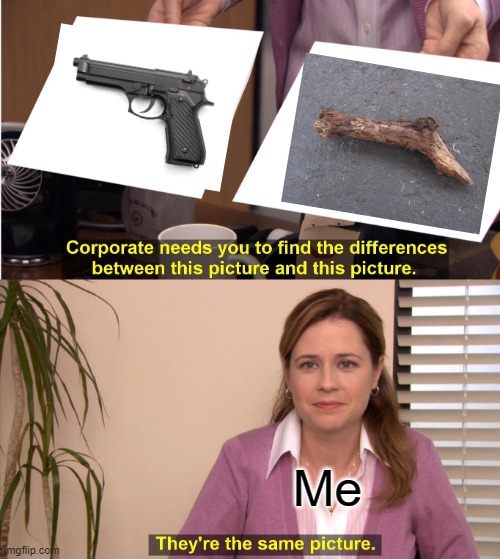 A Stick Is The Same As A Gun | Me | image tagged in memes,they're the same picture | made w/ Imgflip meme maker