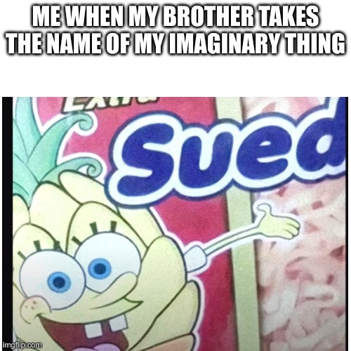 me when | ME WHEN MY BROTHER TAKES THE NAME OF MY IMAGINARY THING | image tagged in funny | made w/ Imgflip meme maker