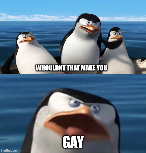 wait whaaaaaaaaaaaaaaaaaaaaaaaaaaaaaaaaaaaaaaa | WHOULDNT THAT MAKE YOU; GAY | image tagged in wouldn't that make you,gay,penguins,dont be gay,shut up,az09 it told me to | made w/ Imgflip meme maker