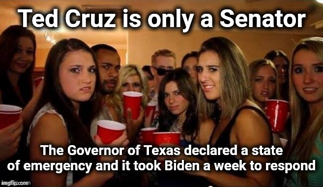 That's disgusting | Ted Cruz is only a Senator The Governor of Texas declared a state of emergency and it took Biden a week to respond | image tagged in that's disgusting | made w/ Imgflip meme maker