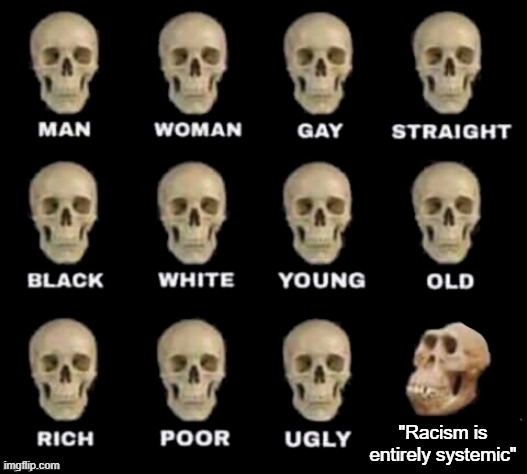 Not entirely. . . check your facts | "Racism is entirely systemic" | image tagged in idiot skull | made w/ Imgflip meme maker