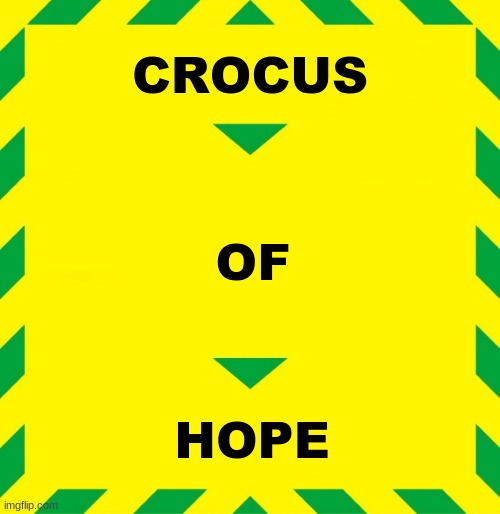 Stay Alert | CROCUS; OF; HOPE | image tagged in stay alert,crocus of hope,crocus | made w/ Imgflip meme maker