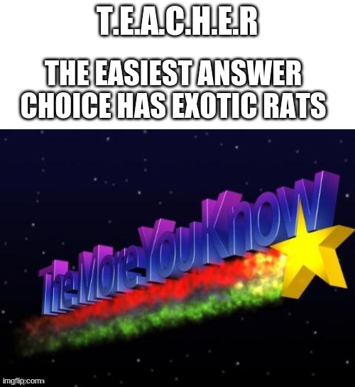 Terrible Meme | T.E.A.C.H.E.R; THE EASIEST ANSWER CHOICE HAS EXOTIC RATS | image tagged in the more you know | made w/ Imgflip meme maker