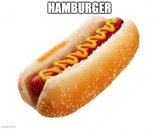 Hotburger | HAMBURGER | image tagged in hot dog,hamburger,funny,r/ihadastroke,expanding brain,death | made w/ Imgflip meme maker
