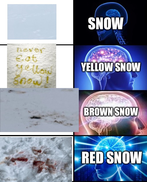 Don't eat the third three | SNOW; YELLOW SNOW; BROWN SNOW; RED SNOW | image tagged in expanding brain 4 panels,snow | made w/ Imgflip meme maker