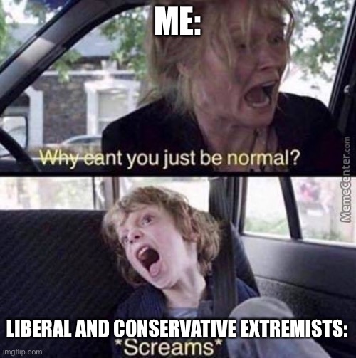 Why Can't You Just Be Normal | ME: LIBERAL AND CONSERVATIVE EXTREMISTS: | image tagged in why can't you just be normal | made w/ Imgflip meme maker