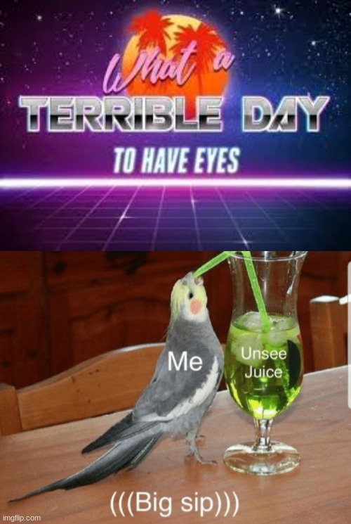 unsee juice+terrible day to have eyes | image tagged in what a terrible day to have eyes,unsee juice | made w/ Imgflip meme maker