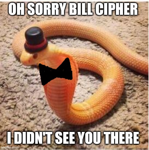 DON'T use Cxorpy's Scepter : r/dankmemer