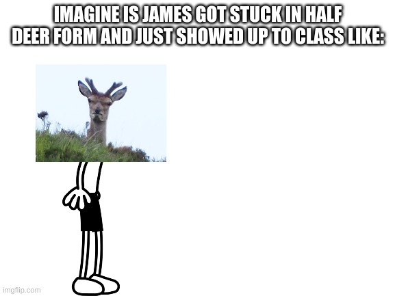Blank White Template | IMAGINE IS JAMES GOT STUCK IN HALF DEER FORM AND JUST SHOWED UP TO CLASS LIKE: | image tagged in blank white template | made w/ Imgflip meme maker