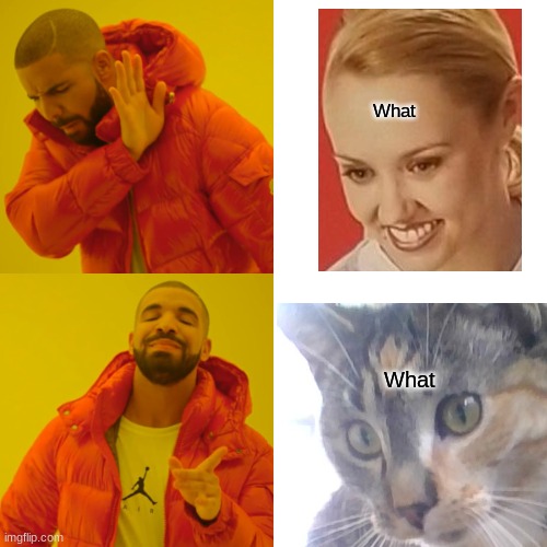 Perfect | What; What | image tagged in memes,drake hotline bling | made w/ Imgflip meme maker