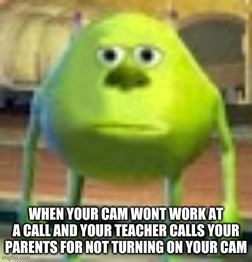 BRUH | WHEN YOUR CAM WONT WORK AT A CALL AND YOUR TEACHER CALLS YOUR PARENTS FOR NOT TURNING ON YOUR CAM | image tagged in sully wazowski | made w/ Imgflip meme maker