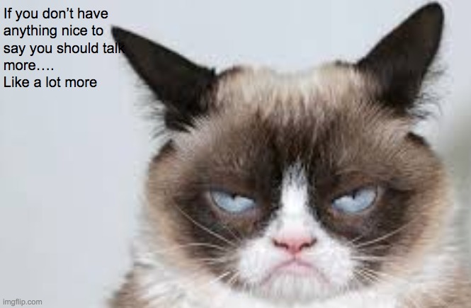 Kids be like thats so evil | image tagged in grumpy cat | made w/ Imgflip meme maker