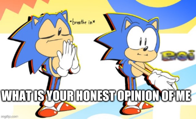 Sonic Boi | WHAT IS YOUR HONEST OPINION OF ME | image tagged in sonic boi | made w/ Imgflip meme maker