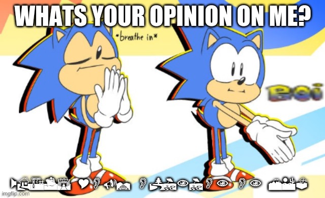 pls be honest | WHATS YOUR OPINION ON ME? WHATS YOUR OPINION ON ME? | image tagged in sonic boi | made w/ Imgflip meme maker