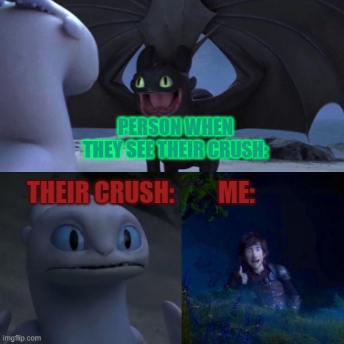 night fury | PERSON WHEN THEY SEE THEIR CRUSH:; THEIR CRUSH:         ME: | image tagged in night fury | made w/ Imgflip meme maker